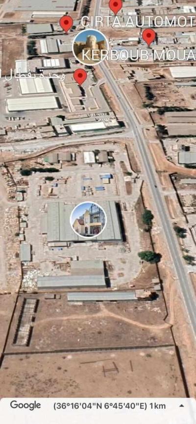 Vente Hangar Constantine El khroub