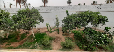 niveau-de-villa-vente-f6-laghouat-algerie
