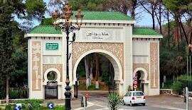 كراء محل الجزائر شراقة