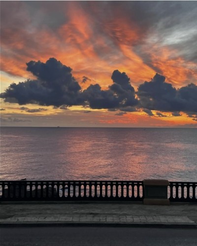 Sell Villa Alger Bologhine