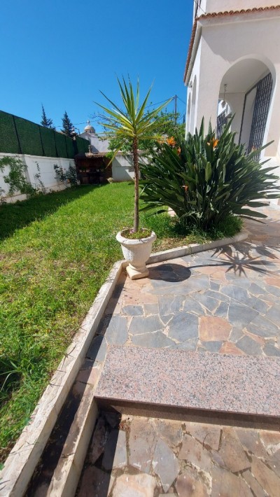 كراء شقة 4 غرف الجزائر حيدرة