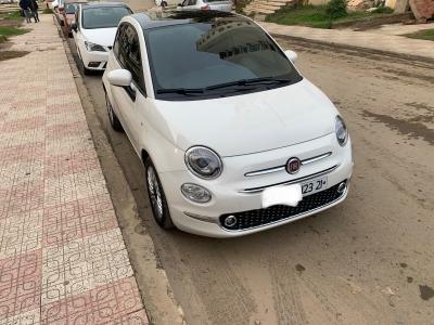 automobiles-fiat-500-2023-club-skikda-algerie