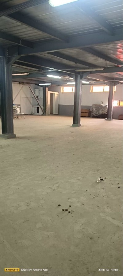 كراء مستودع - مصنع الجزائر براقي