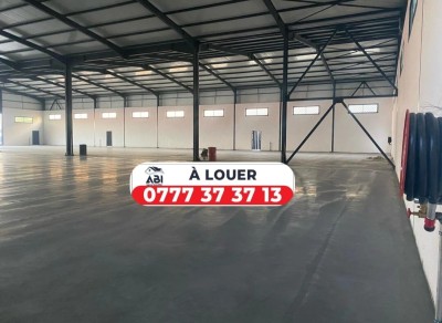 كراء مستودع - مصنع الجزائر الكاليتوس