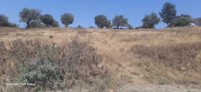 terrain-cherche-achat-boumerdes-larbatache-algerie