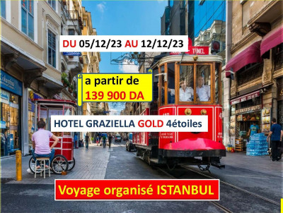 ISTANBUL A 139 900 DA VOYAGE ORGANISE DECEMBRE