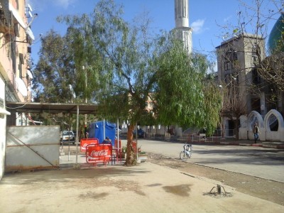 Vente Appartement F3 Blida Ouled yaich