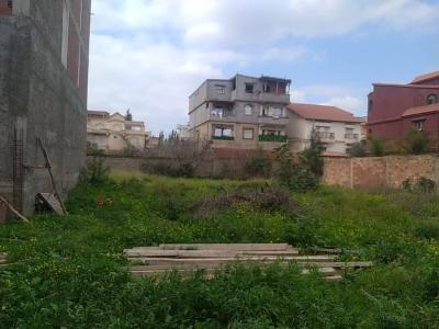Vente Terrain Blida Ouled yaich