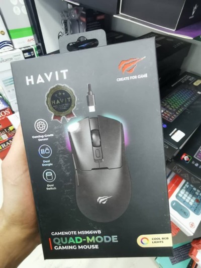 Souris Havit Ms966WB