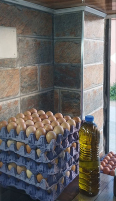 بيض الدجاج و بيض دجاج عرب