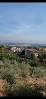 terrain-vente-alger-birtouta-algerie