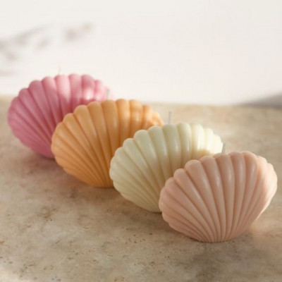 moule silicone Coquillage