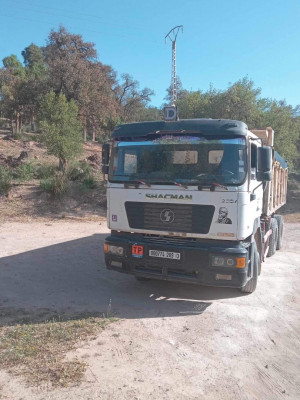 camion-shacman-2009-tlemcen-algerie
