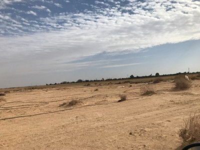 terrain-agricole-vente-blida-algerie