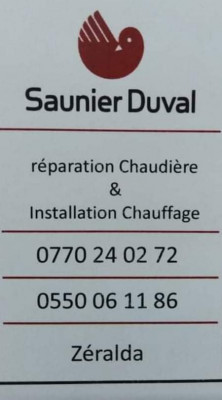 construction-travaux-reparation-de-chaudiere-saunier-duval-birkhadem-alger-algerie