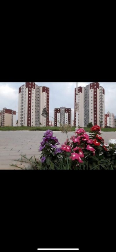 Sell Apartment F3 Blida Bouinan