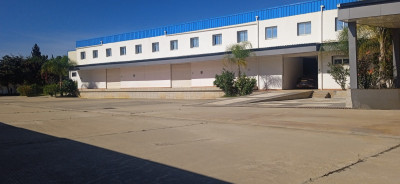 hangar-location-boumerdes-boudouaou-algerie