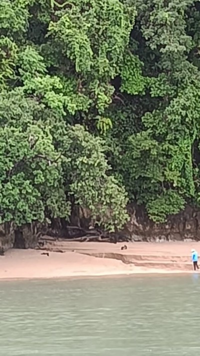 Sell Land Alger Cheraga