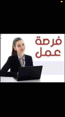 commercial-marketing-عرض-عمل-للطلبة-الجامعيين-saoula-alger-algeria