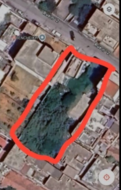 Vente Terrain Alger Kouba