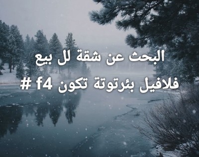 شقة-بحث-عن-شراء-4-غرف-الجزائر-بئر-توتة