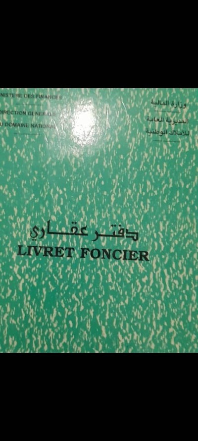 Vente Terrain Tipaza 