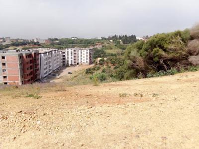 Sell Land Tipaza Kolea