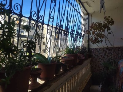 Vente Appartement F3 Tipaza Cherchell