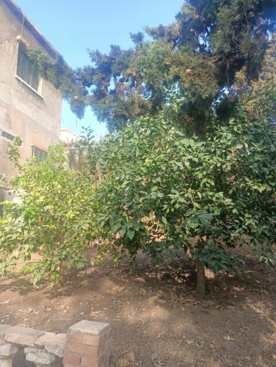 Sell Villa Tipaza Bou ismail