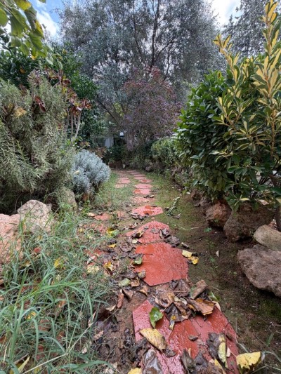 Vente Villa Alger Birkhadem