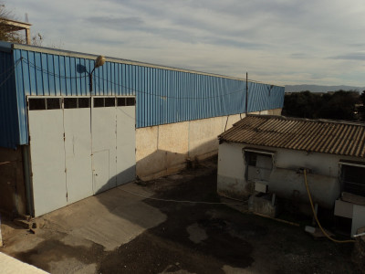 Location Hangar Alger Saoula