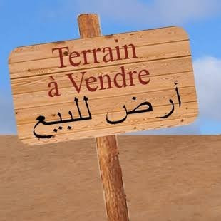 Sell Land Algiers Souidania