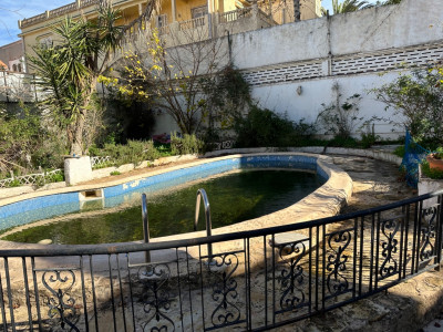 villa-vente-alger-cheraga-algerie