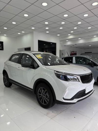 Livan X3 Pro  2025 Gx3