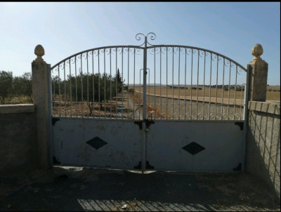 Vente Terrain Agricole Sidi Bel Abbès Lamtar