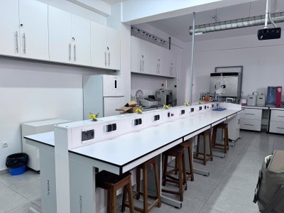 Paillasse pour laboratoire 