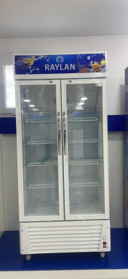 Réfrigérateur présentoirs vertical commercial 