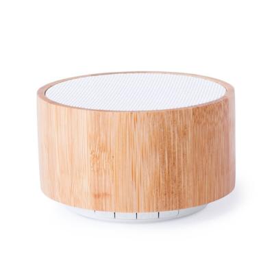 HAUT PARLEUR BLUETOOTH