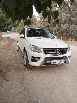 tout-terrain-suv-mercedes-ml-2012-250-cdi-pack-amg-bougara-blida-algerie