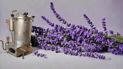 Alambic distillateur pour les essentielles آلة تقطير الزيوت الأساسية 