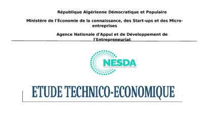 accounting-economics-traitement-dossiers-nesda-aapi-etude-technicoeconomique-business-plan-bmc-tcr-hussein-dey-alger-algeria