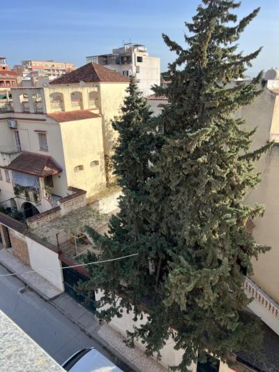 Sell Villa Alger Dely brahim