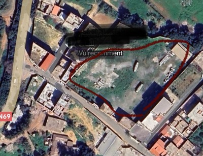 كراء أرض تيبازة القليعة