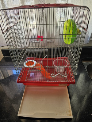 accessoire-pour-animaux-cage-hamsters-ouled-fayet-alger-algerie