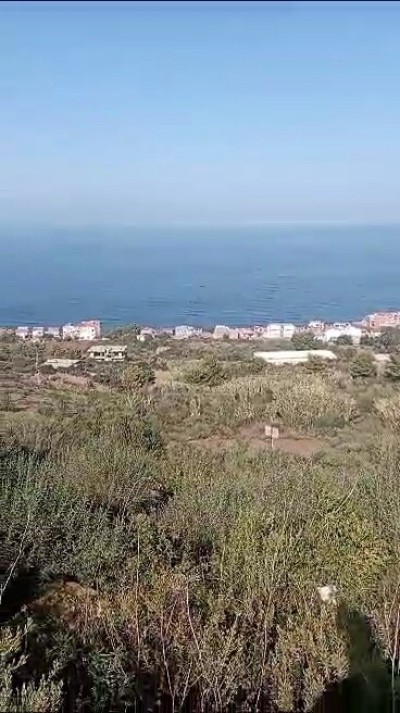 Sell Land Béjaïa Beni ksila