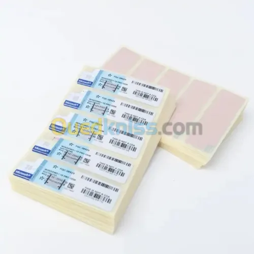 LICENCE WINDOWS 10/11 PROFESSIONNEL STICKERS