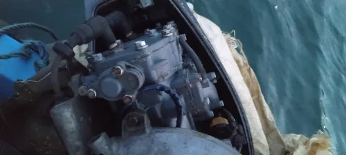 Barque 4.80