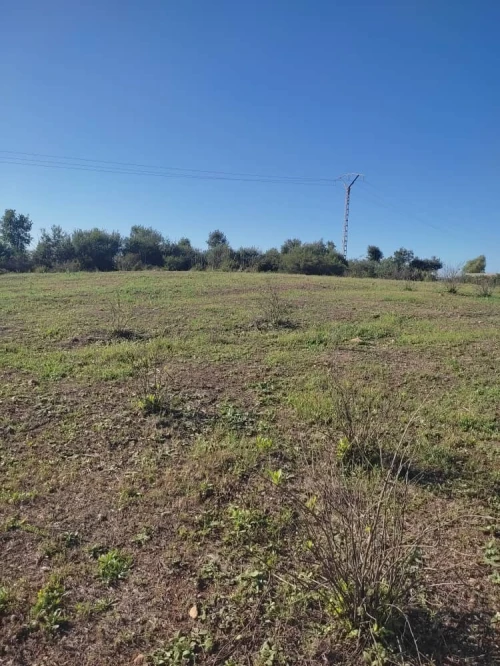 Vente Terrain Tizi ouzou Azazga Tizi ouzou