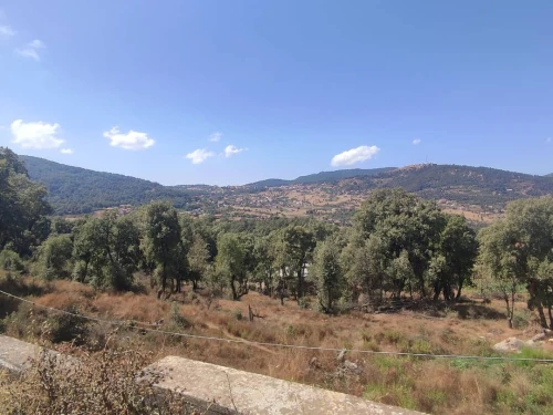 Vente Terrain Tizi Ouzou Azazga