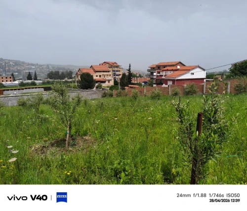 Vente Terrain Tizi Ouzou Azazga